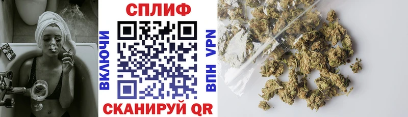 A PVP Бердск