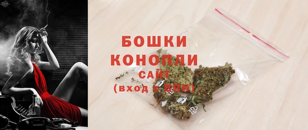 крисы Новозыбков