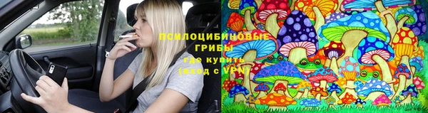 эйфоретик Алексеевка