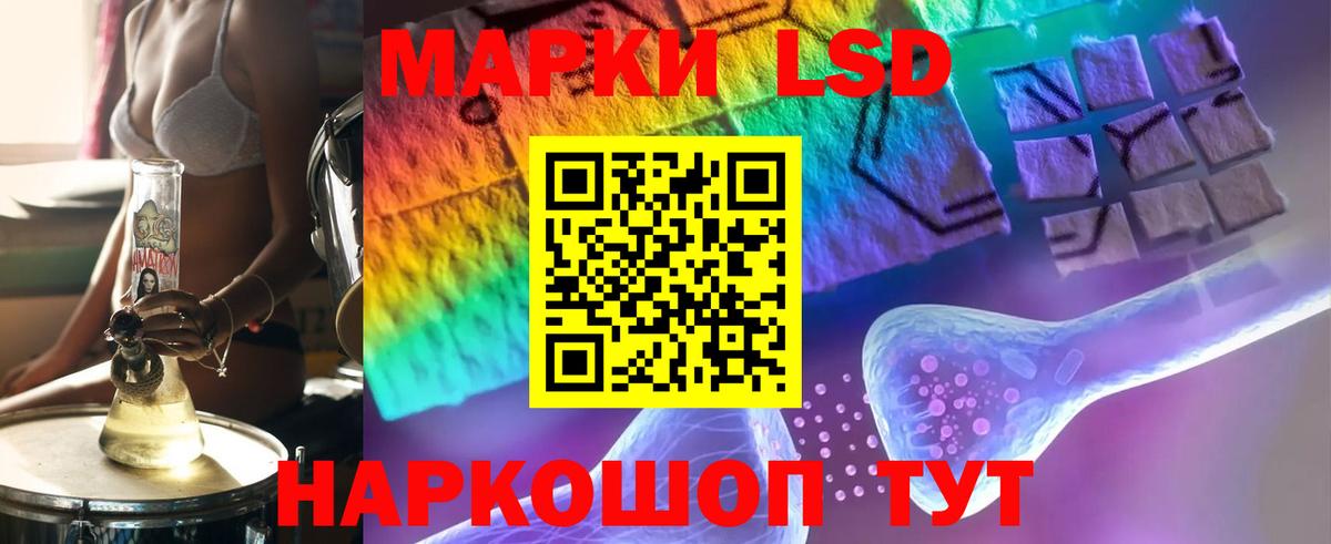 LSD-25 экстази кислота  Вход с VPN  Бердск 