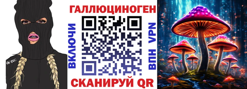 Псилоцибиновые грибы Psilocybe  как найти   Бердск 