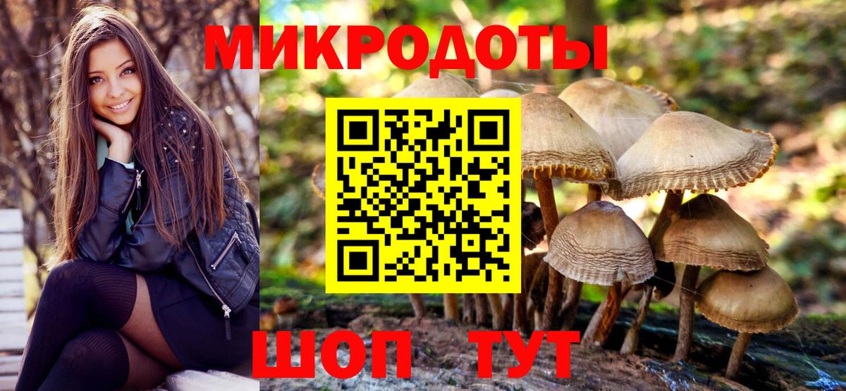 Псилоцибиновые грибы мицелий Бердск