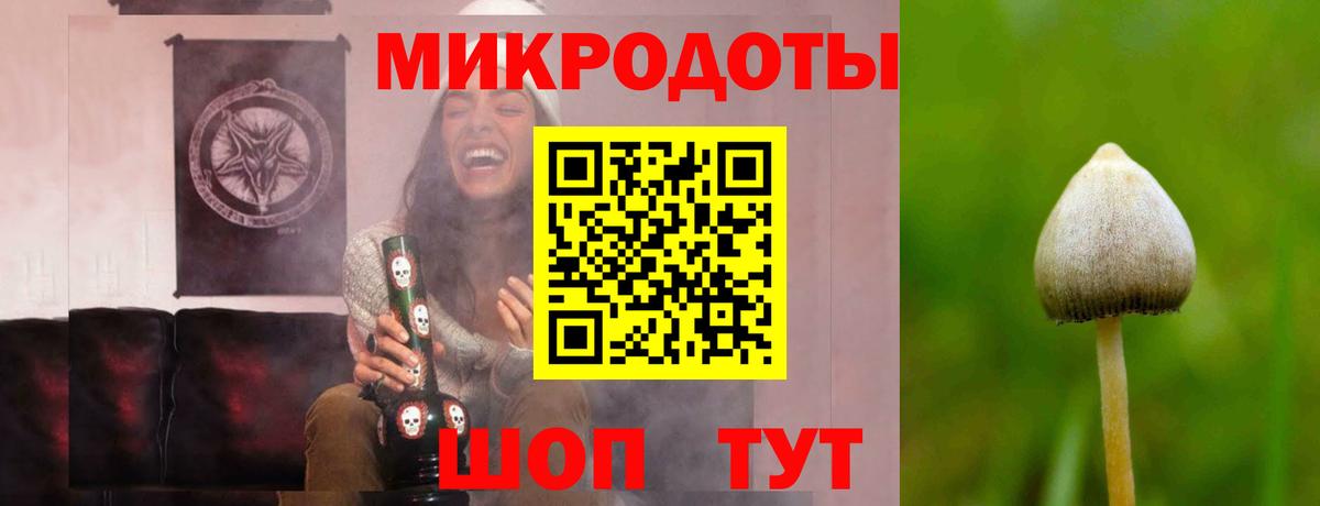 как найти закладки  Галлюциногенные грибы Psilocybe  Вход с VPN  Бердск 